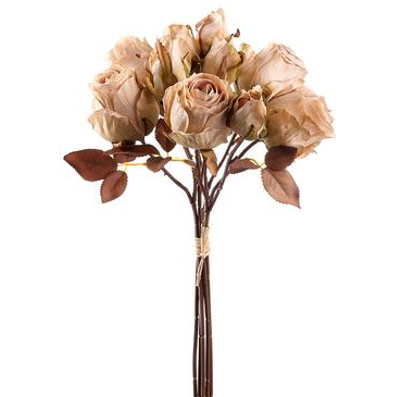 14.5" Rose Bundle x10  Cream Green